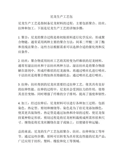 尼龙生产工艺包