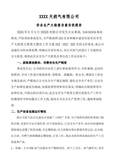 天然气公司自查报告报