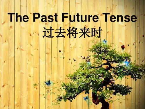 高考英语二轮复习过去将来时课件48张