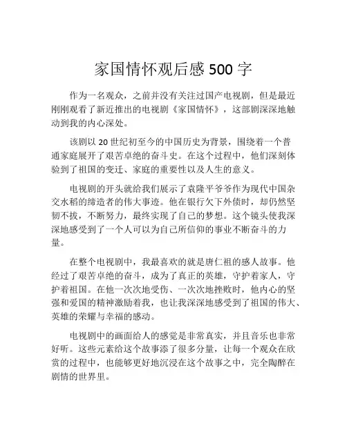 家国情怀观后感500字