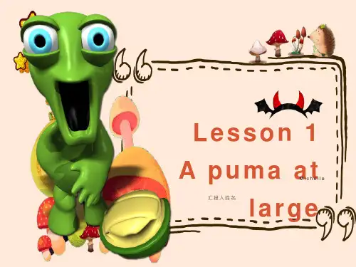 新概念英语第三册PPT课件：NCE3_lesson01(共18页)