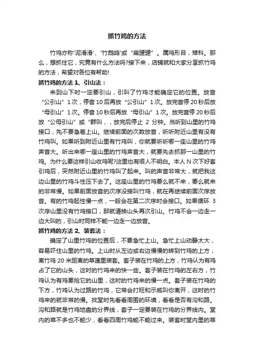 抓竹鸡的方法