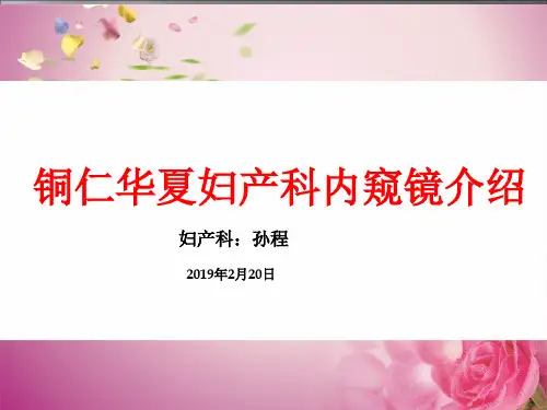铜仁华夏医院妇产科内窥镜介绍LESS - 副本