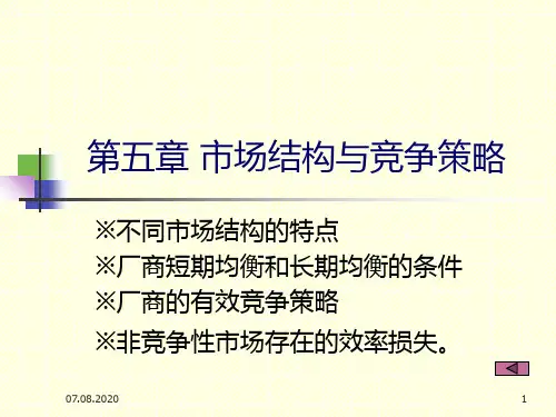 第五章市场结构与竞争策略PPT课件