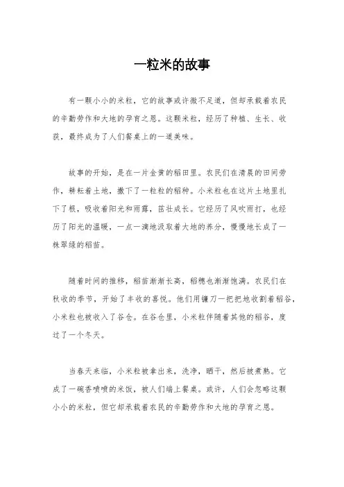 一粒米的故事