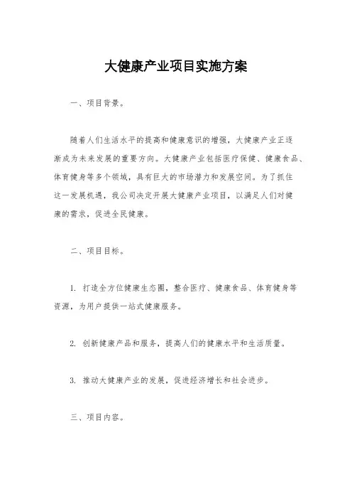 大健康产业项目实施方案