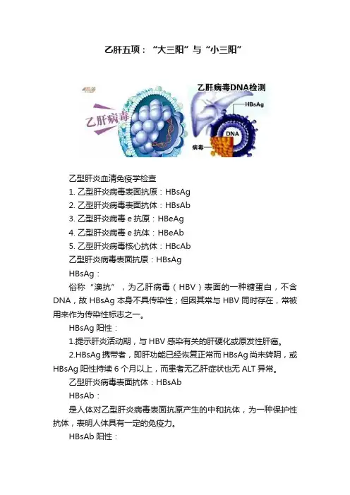 乙肝五项：“大三阳”与“小三阳”