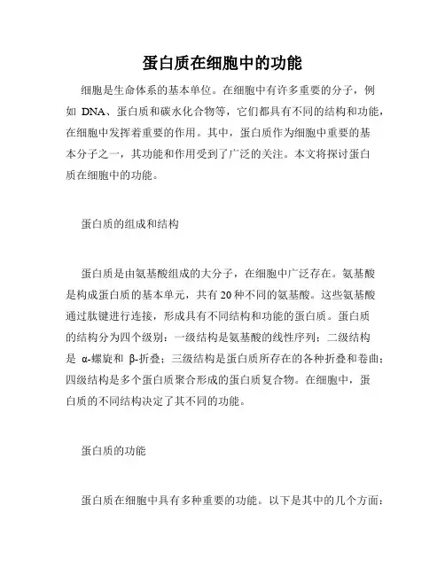 蛋白质在细胞中的功能