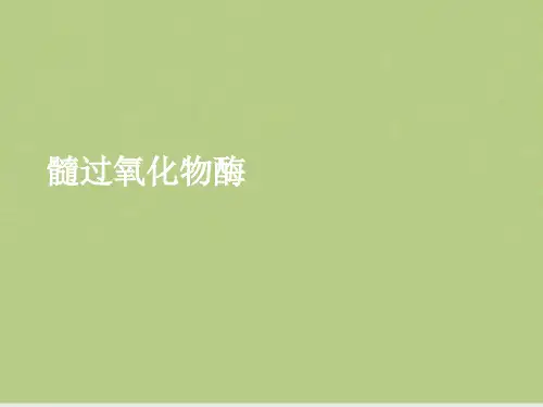 髓过氧化物酶