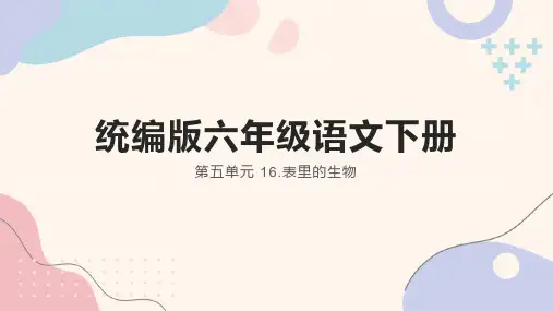 16.表里的生物课件(共27张PPT)