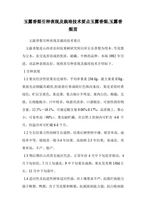 玉露香梨引种表现及栽培技术要点玉露香梨,玉露香梨苗