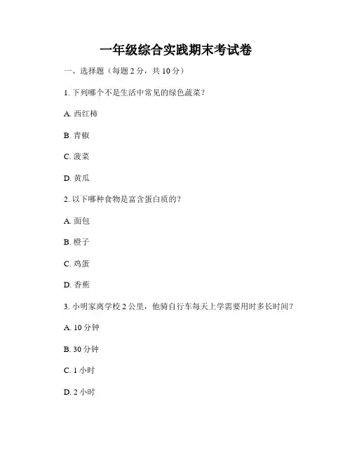 一年级综合实践期末考试卷