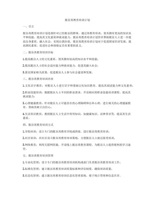 脱盲再教育培训计划