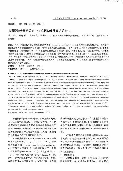 大鼠脊髓全横断后NT-3在运动皮质表达的变化