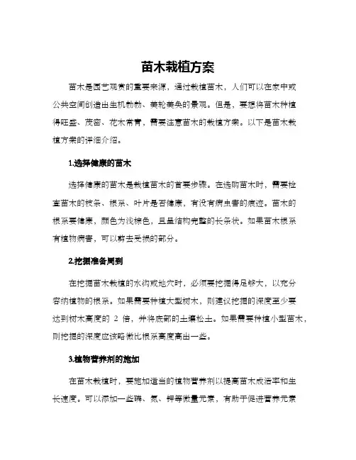 苗木栽植方案