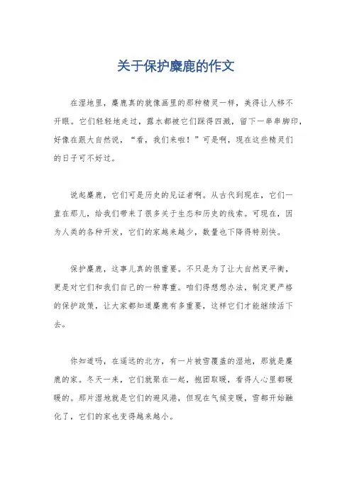 关于保护麋鹿的作文