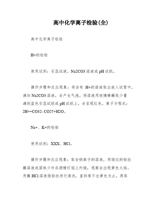高中化学离子检验(全)