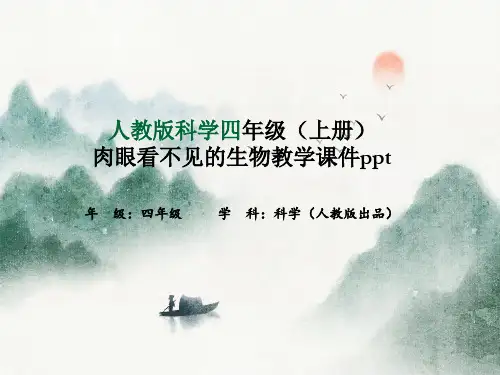 人教版科学四年级(上册)肉眼看不见的生物教学课件ppt