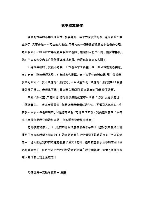 我不能忘记你_初一叙事作文