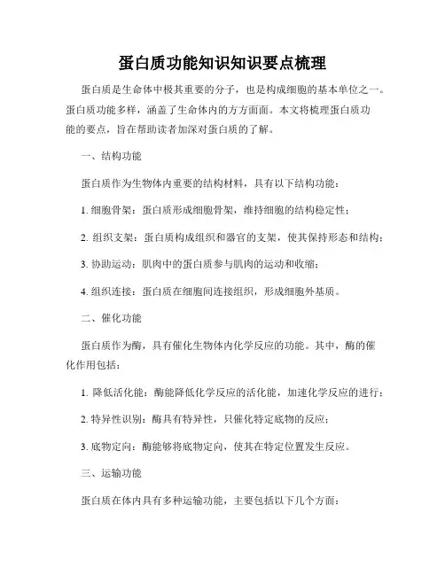 蛋白质功能知识知识要点梳理