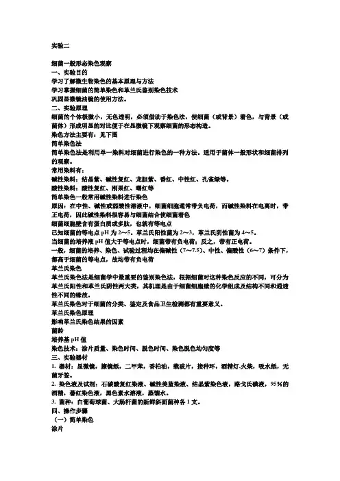 实验二细菌的观察