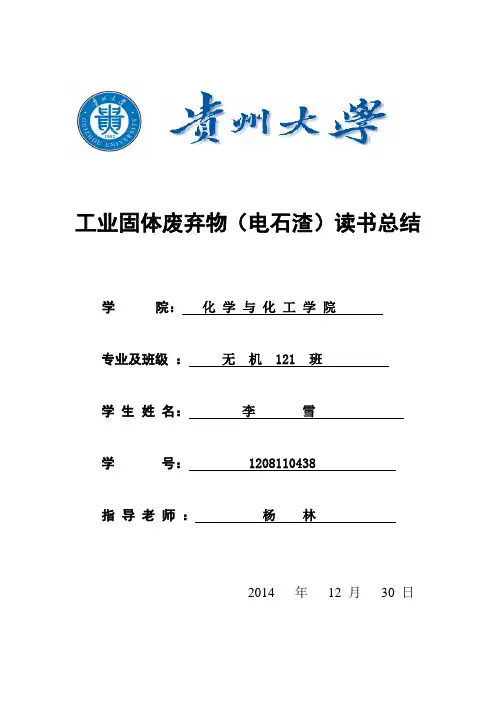 工业固体废弃物处理   电石渣