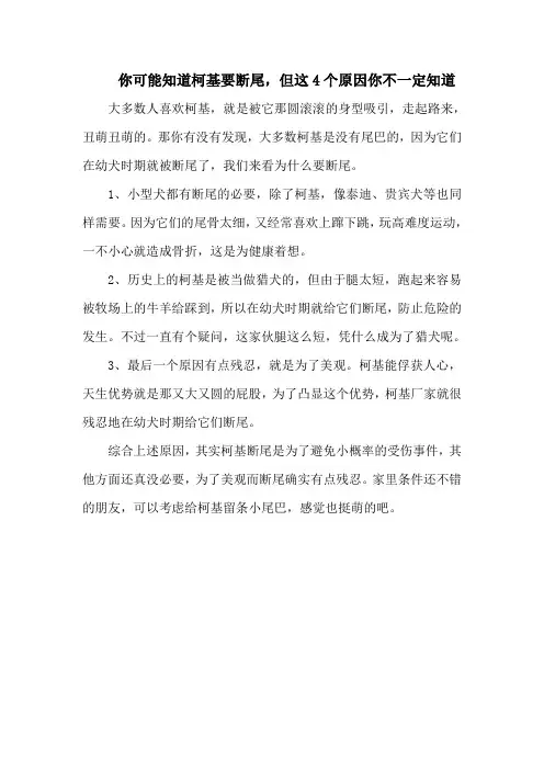 你可能知道柯基要断尾,但这4个原因你不一定知道