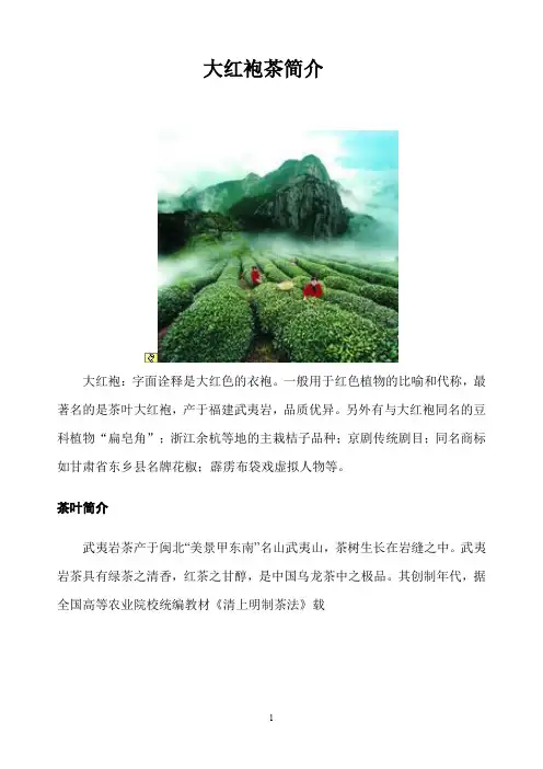 大红袍茶简介