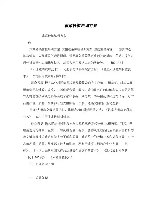 蔬菜种植培训方案