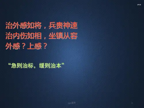 中医应对外感发热  ppt课件