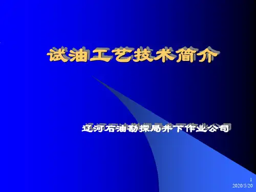 试油工艺技术简介1资料