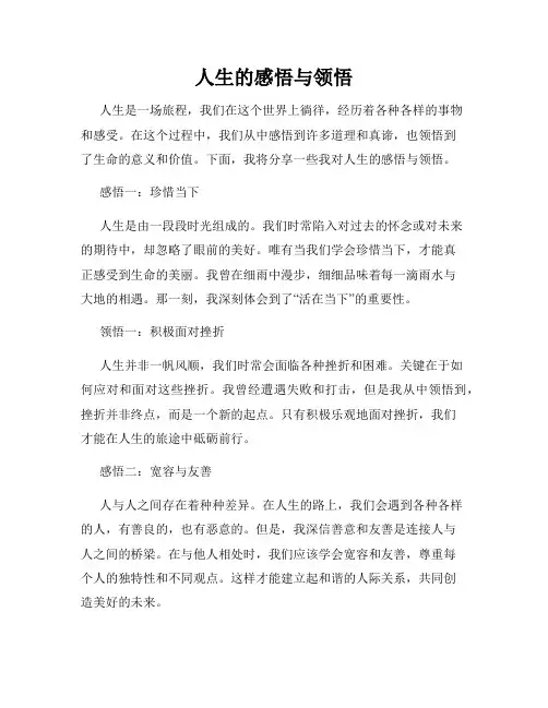 人生的感悟与领悟