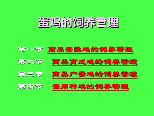 蛋鸡的饲养管理.ppt