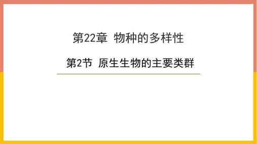 《原生生物的主要类群》PPT