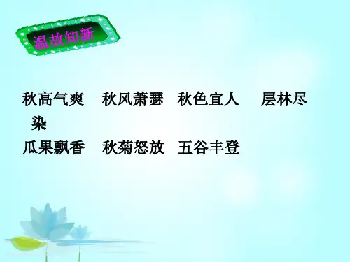 二年级下册语文作文课件PPT：秋(下)部编版