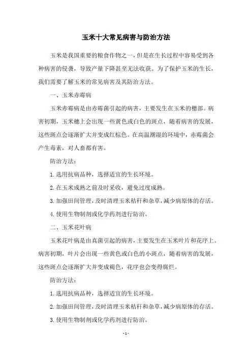 玉米十大常见病害与防治方法