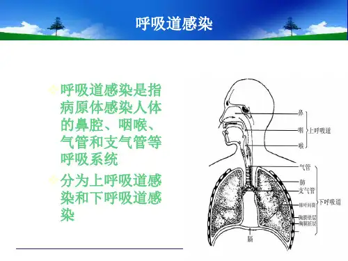 呼吸道病原体检测PPT课件