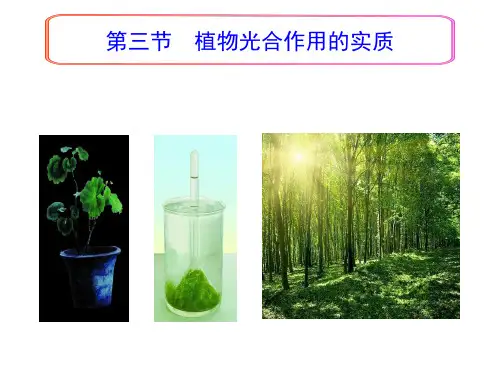 3-6-3植物光合作用的实质课件2023-2024学年苏教版生物七年级上册