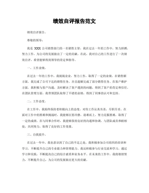 绩效自评报告范文