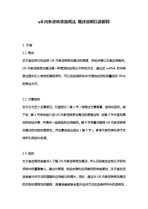 u6内参逆转录加尾法_概述说明以及解释