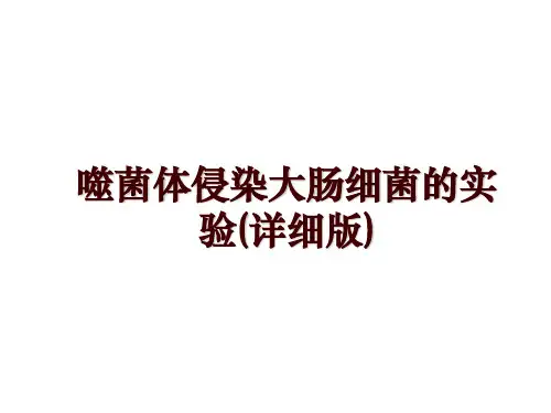噬菌体侵染大肠细菌的实验(详细版)
