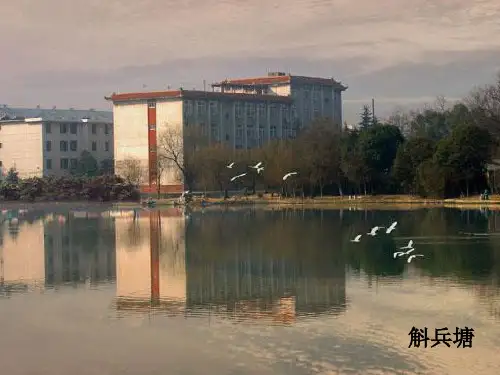 §10.1 轴对称球函数