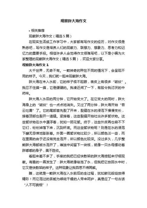 观察胖大海作文