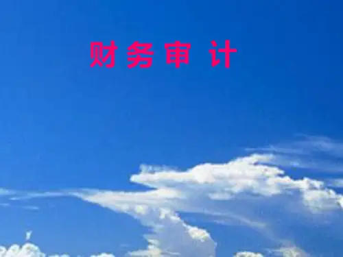 财务审计培训课件