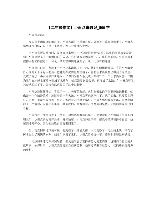 【二年级作文】小雨点奇遇记_500字
