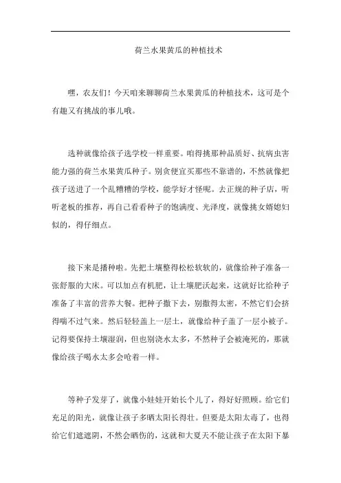 荷兰水果黄瓜的种植技术