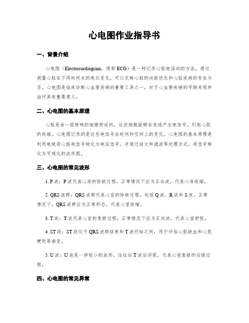 心电图作业指导书