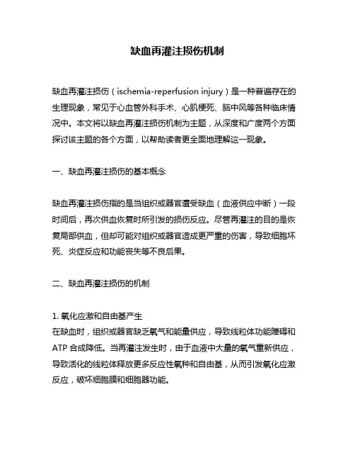缺血再灌注损伤机制