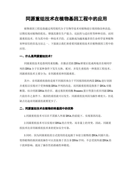 同源重组技术在植物基因工程中的应用