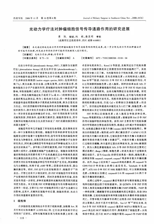 光动力学疗法对肿瘤细胞信号传导通路作用的研究进展